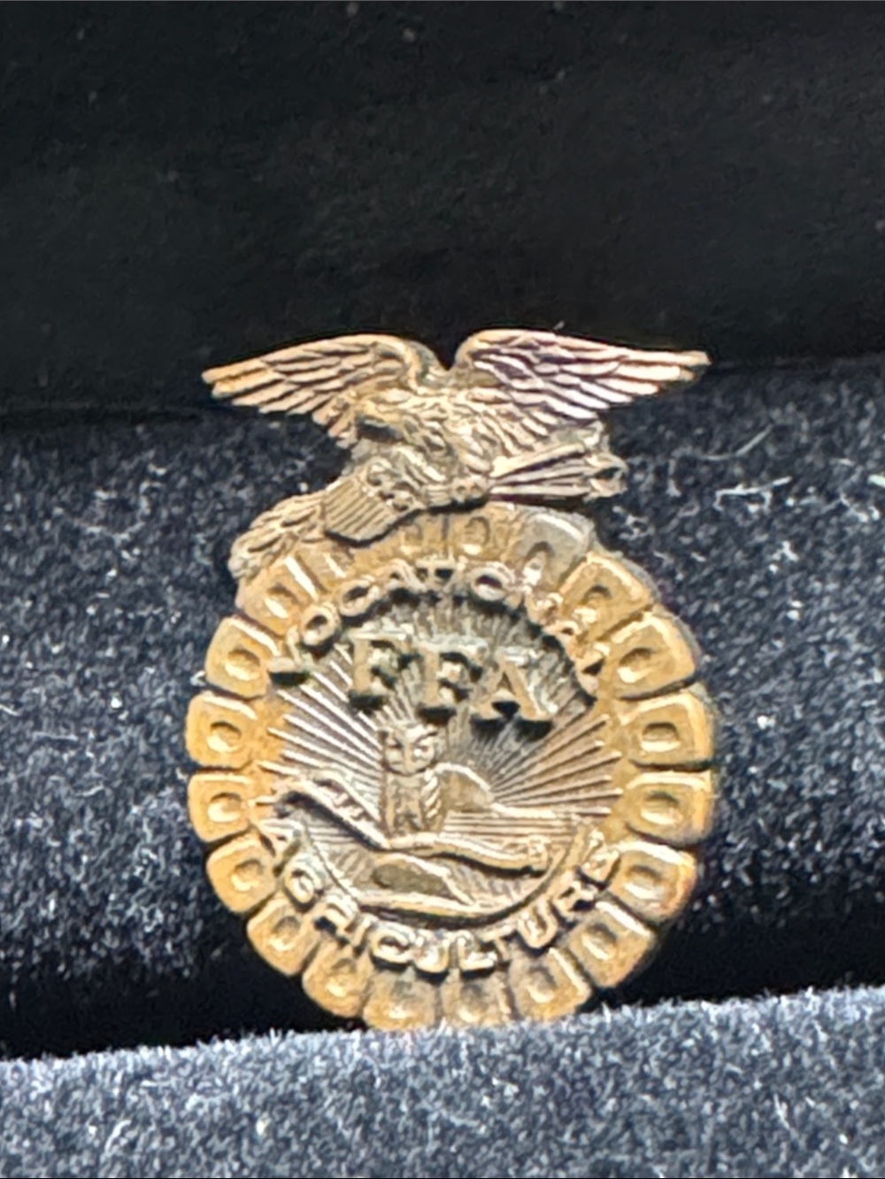 VTG Source Unknown Gold Eagle Emblem Pin. Hey collectors!